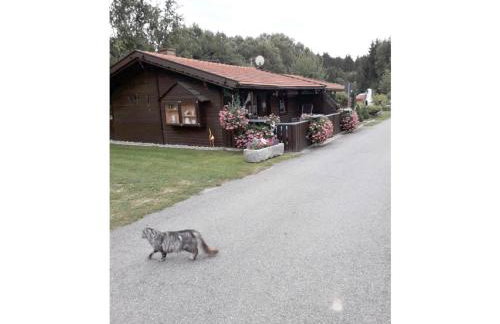 Gerda's Ferienhäuser - Foto 6