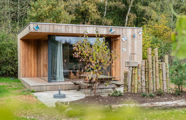 1 bedroom House in Otterlo with swimming pool and terrace - Photo 7