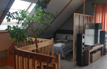 Chill Haus mit Sauna und Kamin - Photo 22