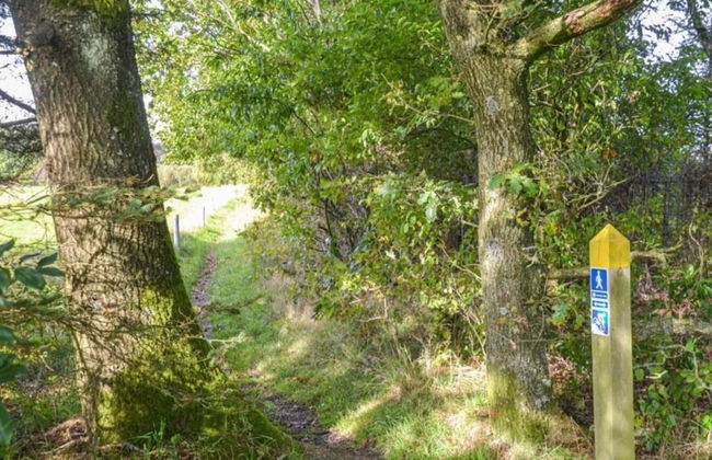 5 Star Holiday Home in Hovborg - Foto 28