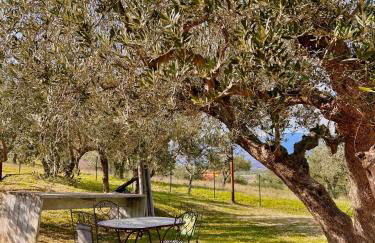 oasi macerina - Foto 55