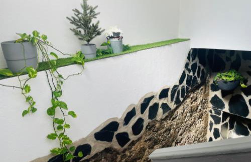 CASA ISABEL CENTRO Histórico - Foto 17