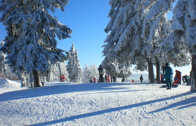 Holiday Home our Little Hunting Lodge - Photo 7