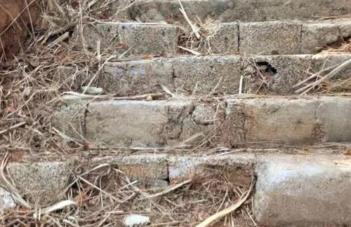 House overlooking the bay - Seaview - Foto 29