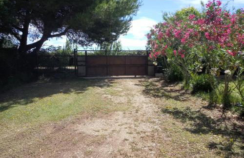 Le mazet du mas - Foto 23