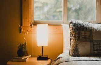 Cabin Minutes to Mt Rainier - EV, HotTub, 2 Queen and Twin - Photo 6