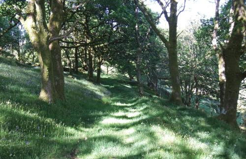 Cabin in the hills near Dolgellau - Foto 22