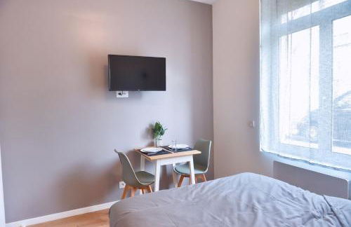 ZenkaSerenity-Ferme paisible Centre CHU-wifi-pro - Foto 21