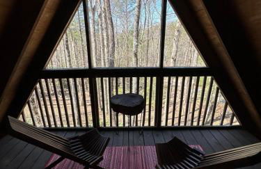 Bearly Behavin - Foto 66