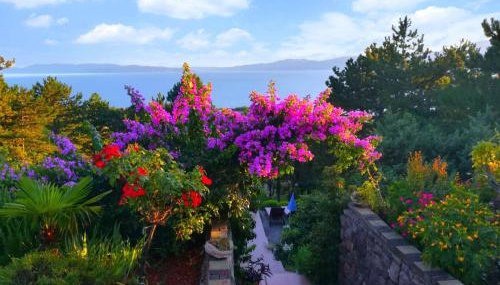 Apartment Anika - Foto 3, Garden