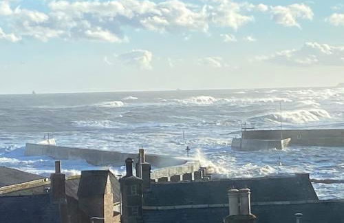 Driftwood - Photo 25