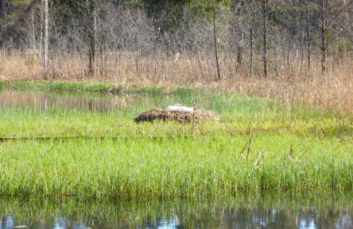 Haus am Kienberg - Foto 57