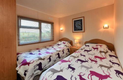 3 Bed in Dinas oc-lazyno - Photo 12