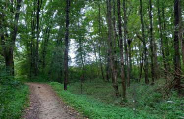 Ferienwohnung am Pinzigberg - Foto 19