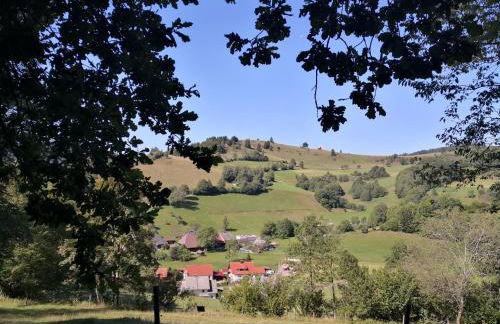 Ferienwohnung Belchenliebe - Foto 27