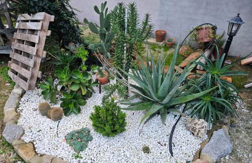 EL PATIO DE LAS TINAJAS - Photo 34