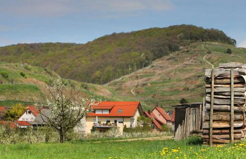 Ferienwohnung Graf - Foto 12