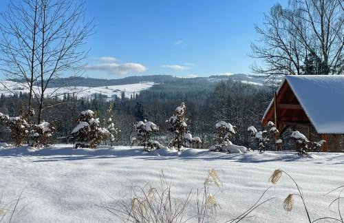 Domki Na Wypasie - Sauna & balia - Foto 37