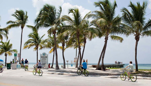 Tour su due ruote alla scoperta della città