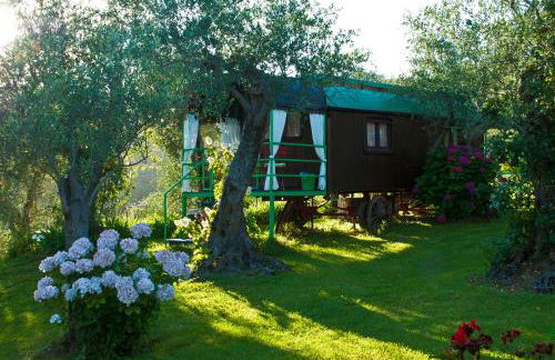 Azienda agricola Della Mezzaluna - Foto 8