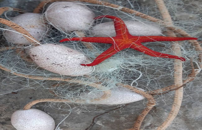 Apartments Cumbelic - Foto 26