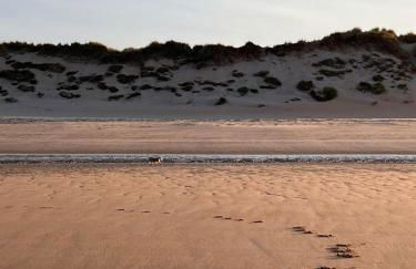 Beautiful Highland Sanctuary - Foto 19