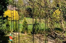 Gepflegtes-Ferienhaus-am-Dankernsee-Haren-Emsland - Photo 14