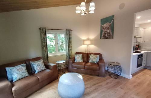 Breckland Lodge 1 with Hot Tub - Foto 15