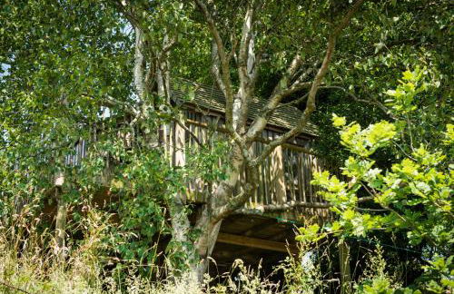 The Treehouse at Salcombe Farm - Foto 27
