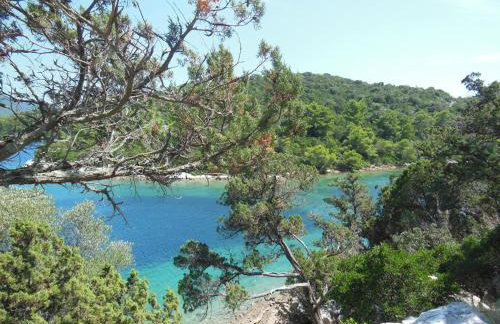 Apartment Bianca Mljet Komfort mit Meerblick - Foto 25