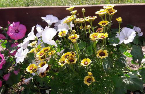 Gemütliches Häuschen im Alten Land - Foto 21