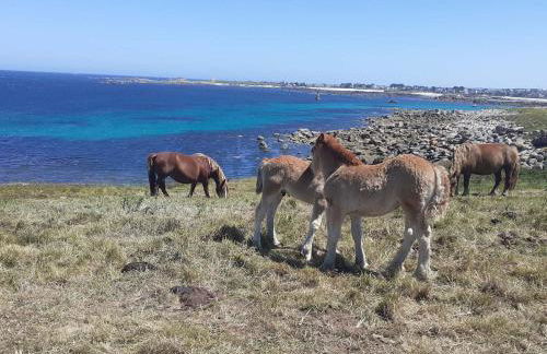 LES PORTSALLAISES piscine ou spa à 300m de la plage - Photo 15