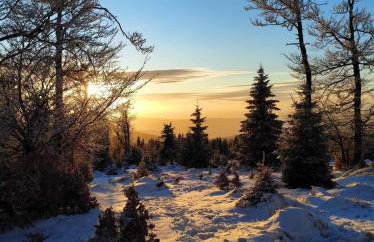 Dom w Górach Sowich Niedźwiedzia Gawra, Michałkowa - Foto 69