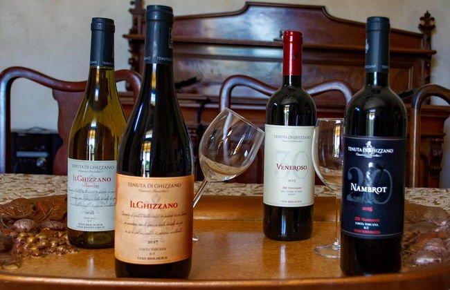 Villa in Tuscany Near Medieval Ghizzano - Photo 54