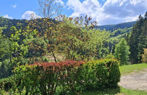 Domek w Jałowcach - Foto 15