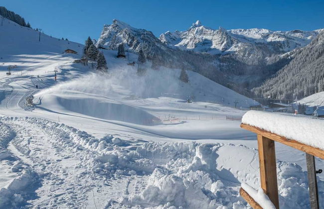Berg Herz Grimmialp (Schwenden) - Foto 46
