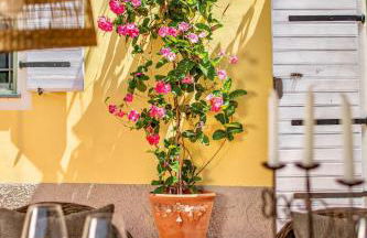 Casale tra gli Ulivi - Foto 69