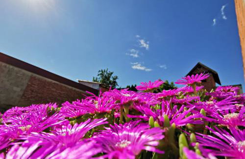 Apartment Slavonska Kuća - Foto 37