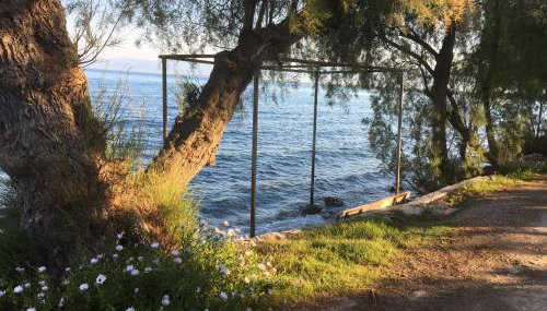 Seaside apartment with private garden - Foto 3