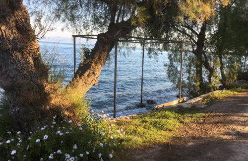 Seaside apartment with private garden - Foto 3