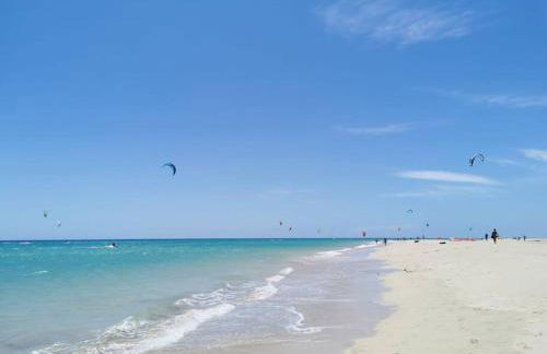 Montes Blancos - Photo 32