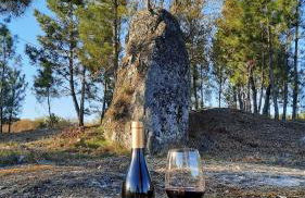 Quinta das Regueiras - Foto 25