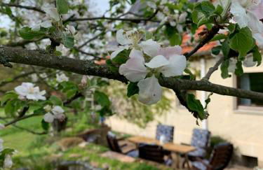 Anitas Landerlebnis - Foto 35