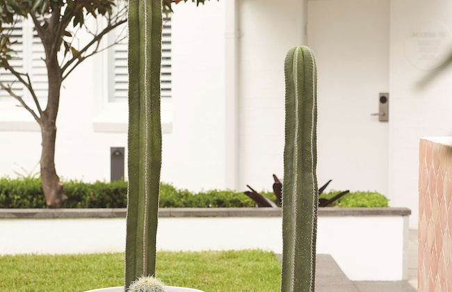 Adina Apartment Hotel Sydney Chippendale - Foto 66