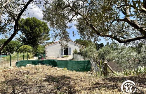 Le gite aux oliviers - Foto 22