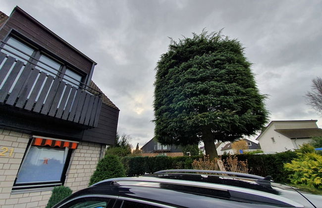 Business Apartments Ost - Foto 50