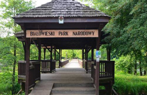 Apartament w Puszczy Białowieskiej - Foto 24