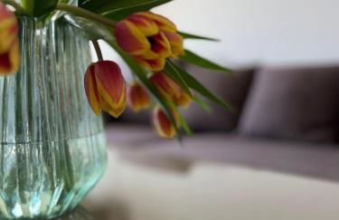 Ferienwohnung-Brockenblick - Foto 7