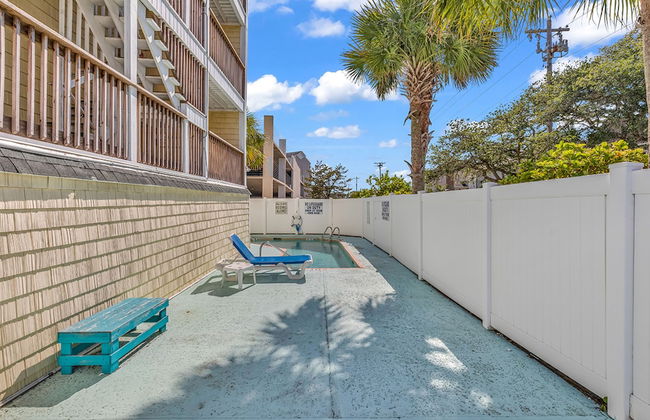 Island palms - Foto 25