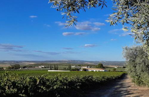 La Capellania de Alvear - Foto 15